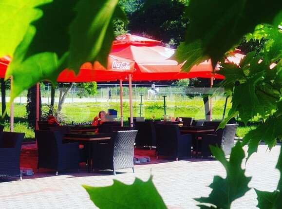 Casa de vânzare 30 camere Exterior Est - 113878CV | BLITZ Timișoara | Poza7