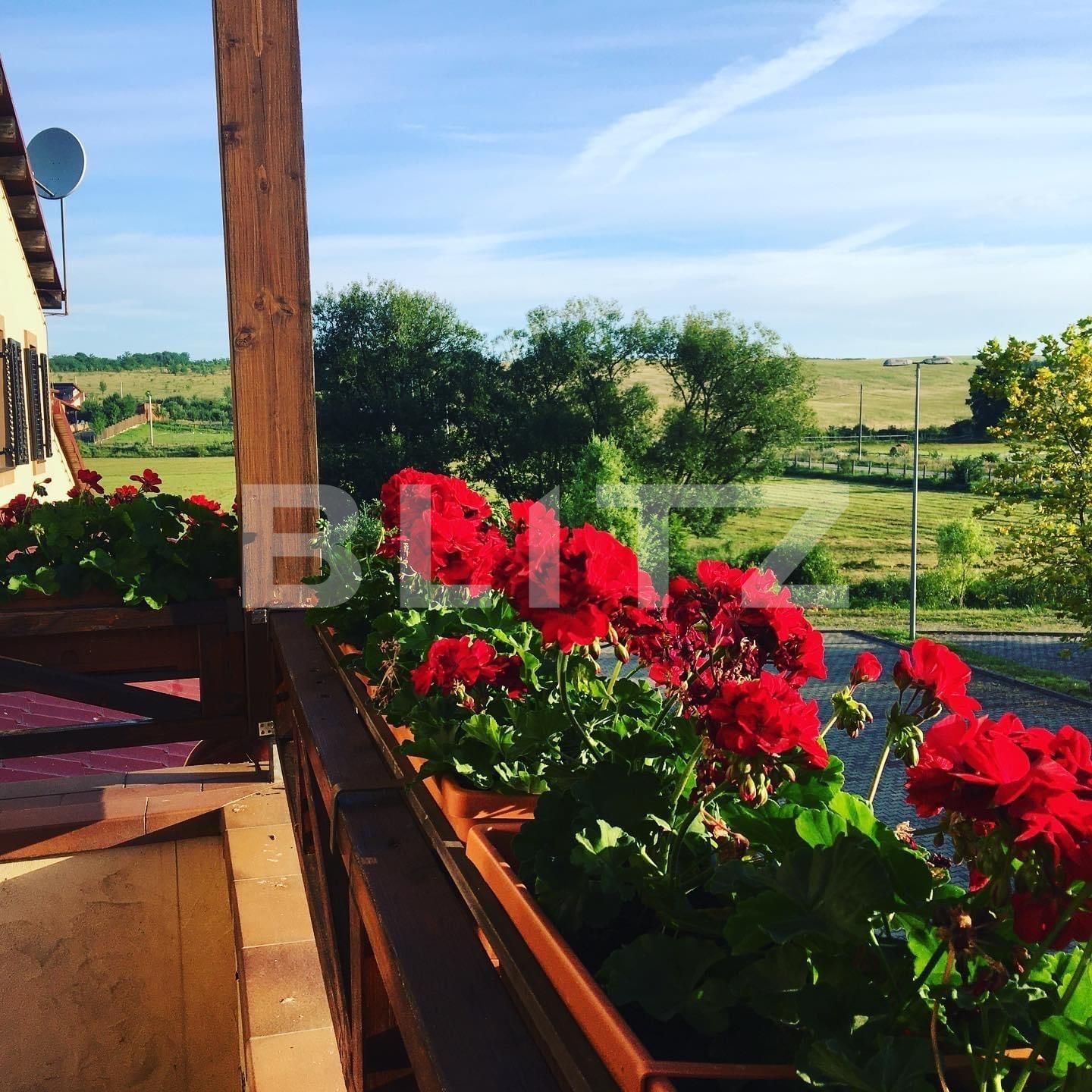 Casa de vânzare 30 camere Exterior Est - 113878CV | BLITZ Timișoara | Poza9