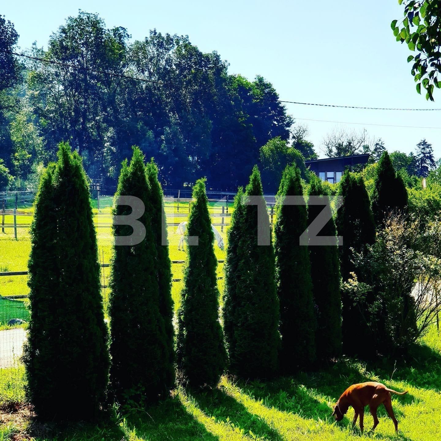 Casa de vânzare 30 camere Exterior Est - 113878CV | BLITZ Timișoara | Poza8