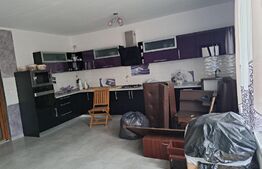 Casa individuala, cocheta, de 200mp utili si 600mp teren, in Moravita