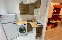 GARSONIERA DE 22 MP, ZONA BUZIASULUI - AEM