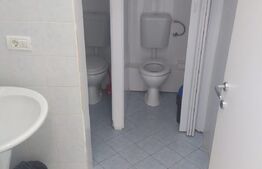 Spațiu comercial, 95 mp, zona Torontalului