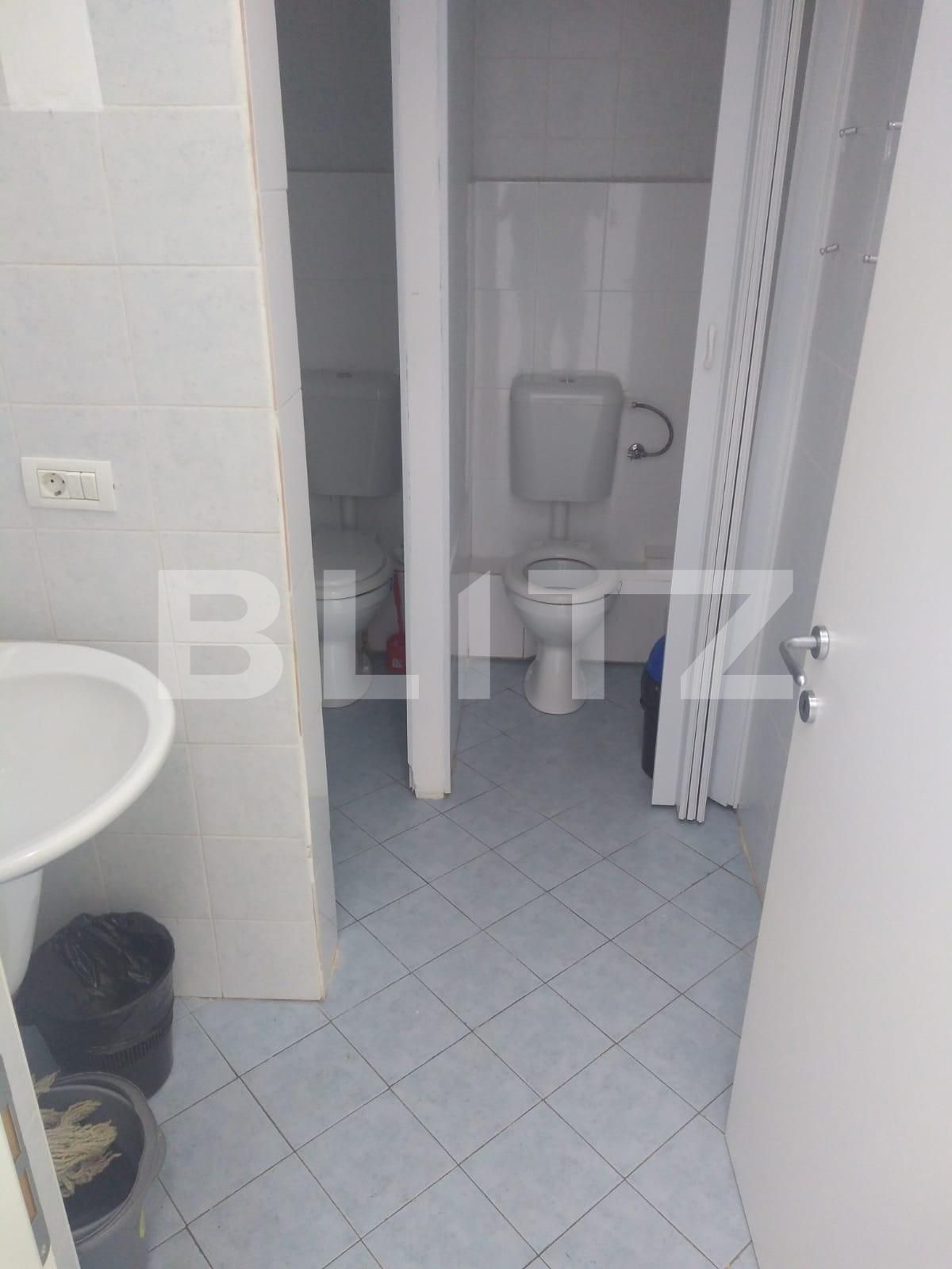 Spațiu comercial de închiriat Torontalului - 114332SIC | BLITZ Timișoara | Poza8