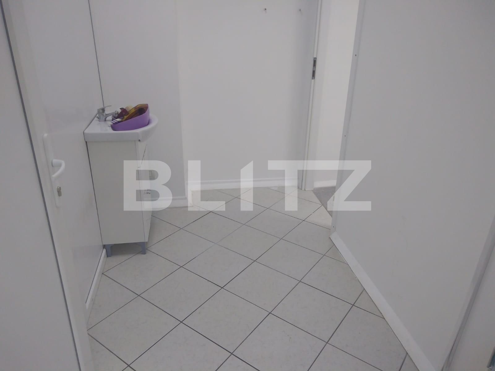 Spațiu comercial de închiriat Torontalului - 114332SIC | BLITZ Timișoara | Poza3