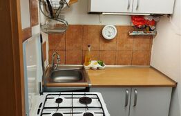 Ocazie, garsoniera mobilata, 22 mp, Blașcovici