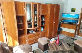 Ocazie, garsoniera mobilata, 22 mp, Blașcovici