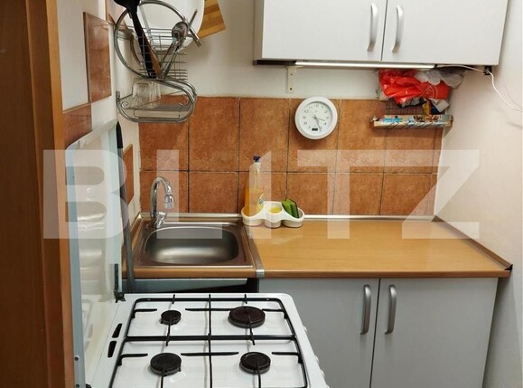 Garsonieră de vânzare Blascovici - 114490AV | BLITZ Timișoara | Poza4