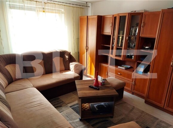 Garsonieră de vânzare Blascovici - 114490AV | BLITZ Timișoara | Poza2