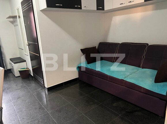 Garsonieră de vânzare Dorobantilor - 114540AV | BLITZ Timișoara | Poza2