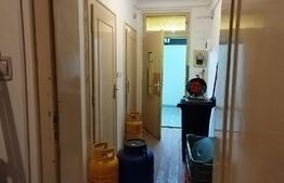 Blitz va ofera lant de afaceri la cheie de tip Fast-Food