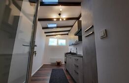 Casa mare de 230 mp, individuala, foarte frumoasa, utilata, garaj mare, curte!