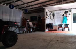 Casa mare de 230 mp, individuala, foarte frumoasa, utilata, garaj mare, curte!