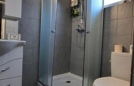 Casa mare de 230 mp, individuala, foarte frumoasa, utilata, garaj mare, curte!