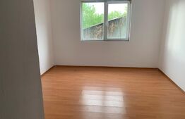 Garsoniera, 21mp, etaj intermdiar, zona Iosefin