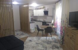 Apartament 1 cameră, PRIMA ÎNCHIRIERE, bloc nou, zona Semicentrală