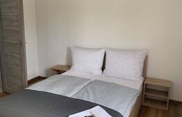 Cabana de vanzare, 80 mp utili, teren de 2700 mp, Divici!