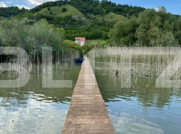 Casa de vânzare 4 camere Exterior Sud - 114952CV | BLITZ Timișoara | Poza6