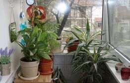 Apartament 4 camere, zona Torontalului/Vox