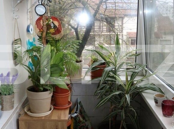 Apartament de vânzare 4 camere Torontalului - 115017AV | BLITZ Timișoara | Poza7