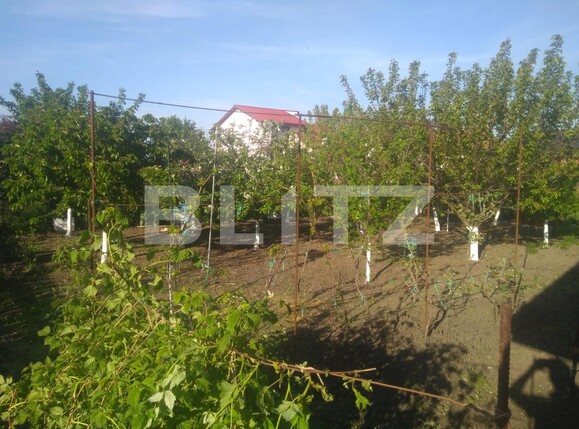 Casa de închiriat 3 camere Exterior Nord - 115047CI | BLITZ Timișoara | Poza6