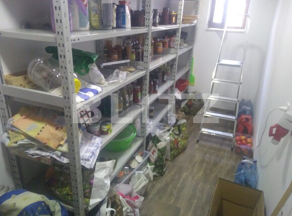 Casa de închiriat 3 camere Exterior Nord - 115047CI | BLITZ Timișoara | Poza13