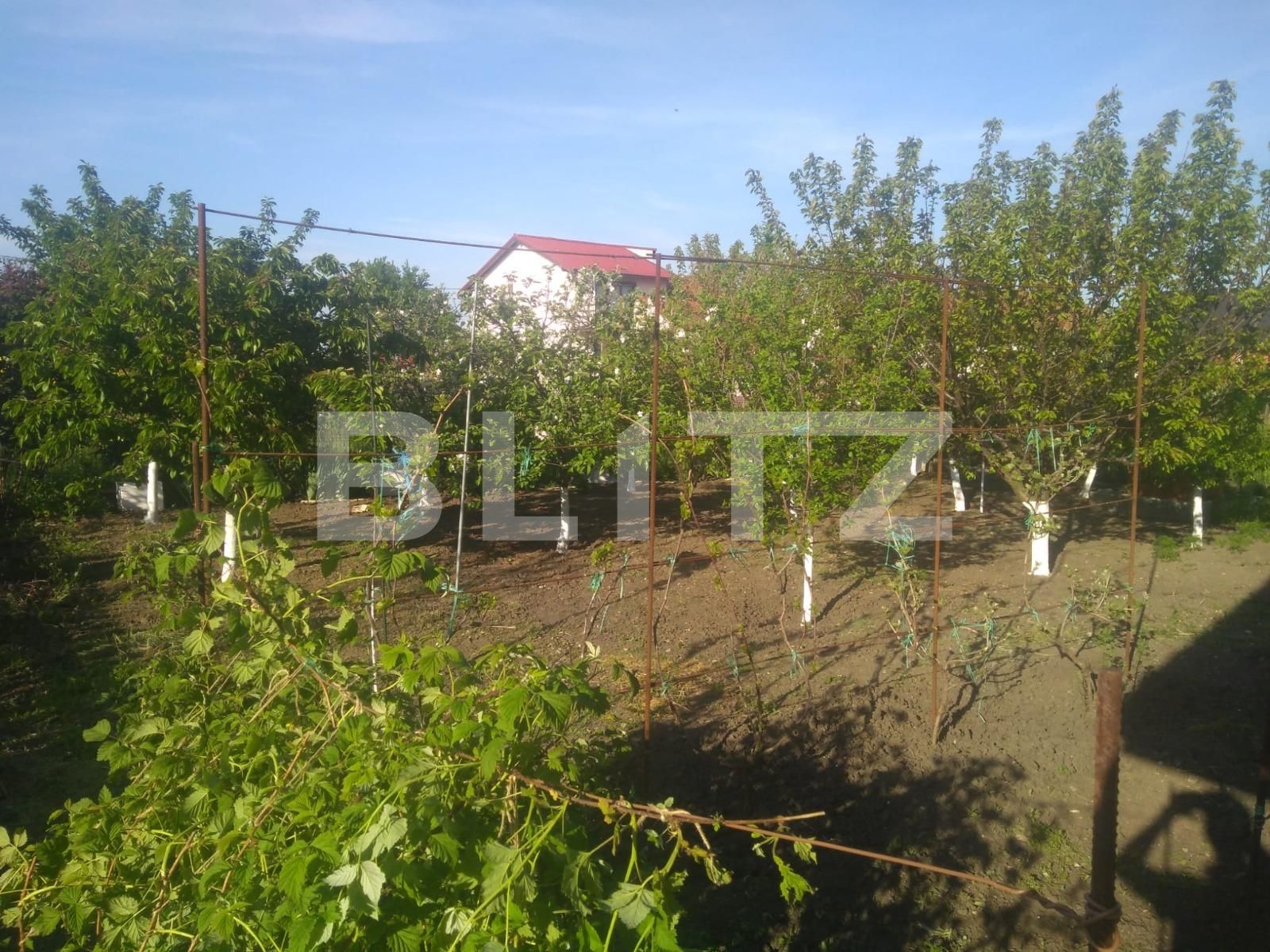 Casa de închiriat 3 camere Exterior Nord - 115047CI | BLITZ Timișoara | Poza6