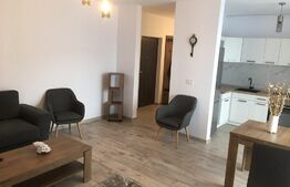 Apartament de 2 camere, modern, zona Aradului