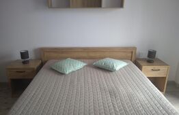 Apartament de 2 camere, modern, zona Aradului