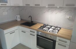 Apartament de 2 camere, modern, zona Aradului