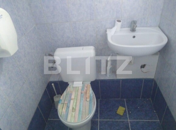 Spațiu comercial de închiriat Aradului - 115207SIC | BLITZ Timișoara | Poza6