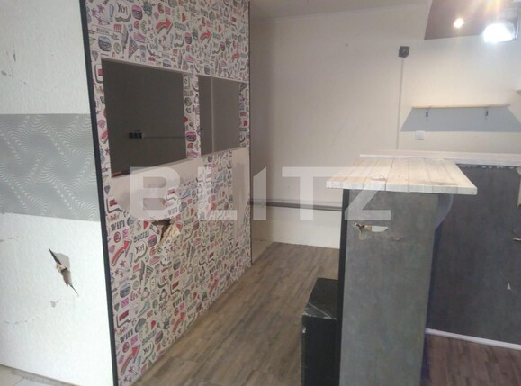 Spațiu comercial de închiriat Aradului - 115207SIC | BLITZ Timișoara | Poza3