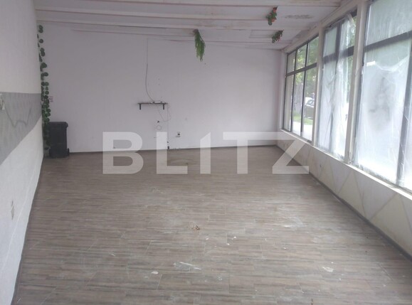 Spațiu comercial de închiriat Aradului - 115207SIC | BLITZ Timișoara | Poza1