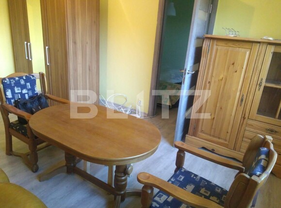 Apartament de închiriat 2 camere Dacia - 115409AI | BLITZ Timișoara | Poza2