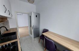 Apartament 2 camere, cu gradină, la prima închiriere, zona Mircea cel Bătrân