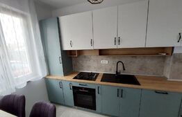 Apartament 2 camere, cu gradină, la prima închiriere, zona Mircea cel Bătrân