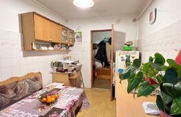 Apartament de 2 camere, 53mp, parter, zona Girocului