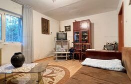 Apartament de 2 camere, 53mp, parter, zona Girocului