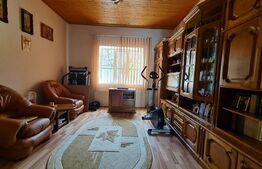 Casa parter 120 mp, 1900 mp teren, Sacalaz