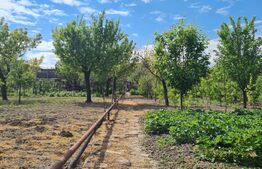 Casa parter 120 mp, 1900 mp teren, Sacalaz