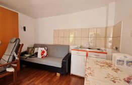 Casa parter 120 mp, 1900 mp teren, Sacalaz