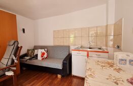 Casa parter 120 mp, 1900 mp teren, Sacalaz