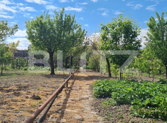 Casa de vânzare 4 camere Sacalaz - 115653CV | BLITZ Timișoara | Poza2