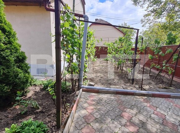 Casa de vânzare 4 camere Sacalaz - 115653CV | BLITZ Timișoara | Poza3