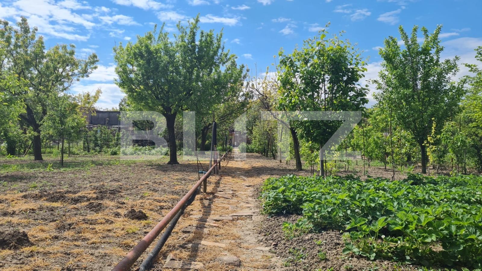 Casa de vânzare 4 camere Sacalaz - 115653CV | BLITZ Timișoara | Poza2