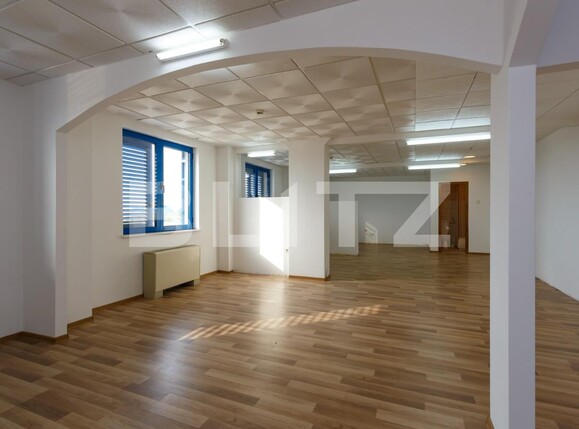 Spațiu comercial de vânzare Aradului - 115670SVC | BLITZ Timișoara | Poza9