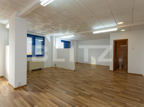 Spațiu comercial de vânzare Aradului - 115670SVC | BLITZ Timișoara | Poza8