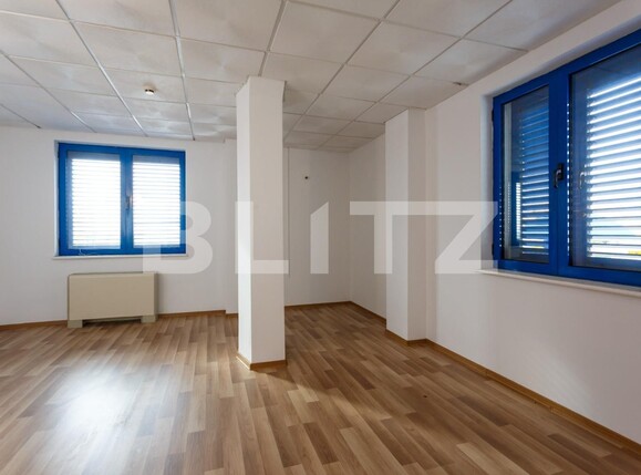 Spațiu comercial de vânzare Aradului - 115670SVC | BLITZ Timișoara | Poza10