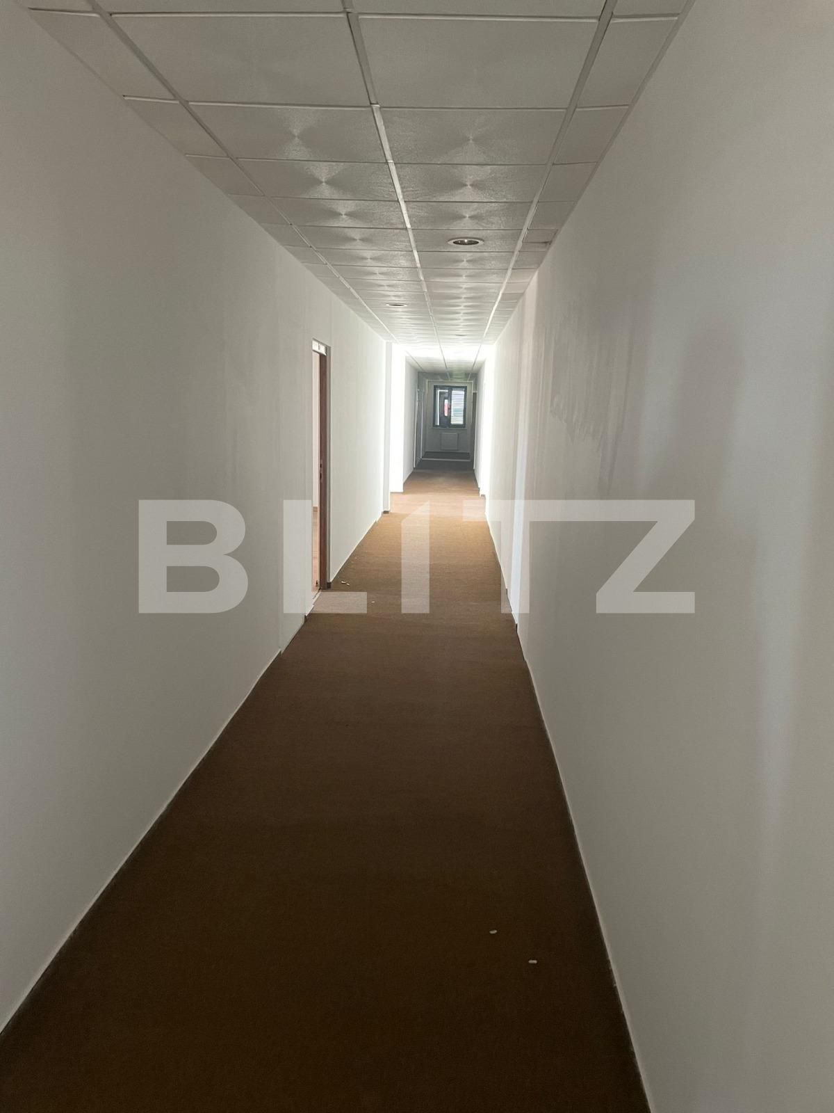 Spațiu comercial de vânzare Aradului - 115670SVC | BLITZ Timișoara | Poza11