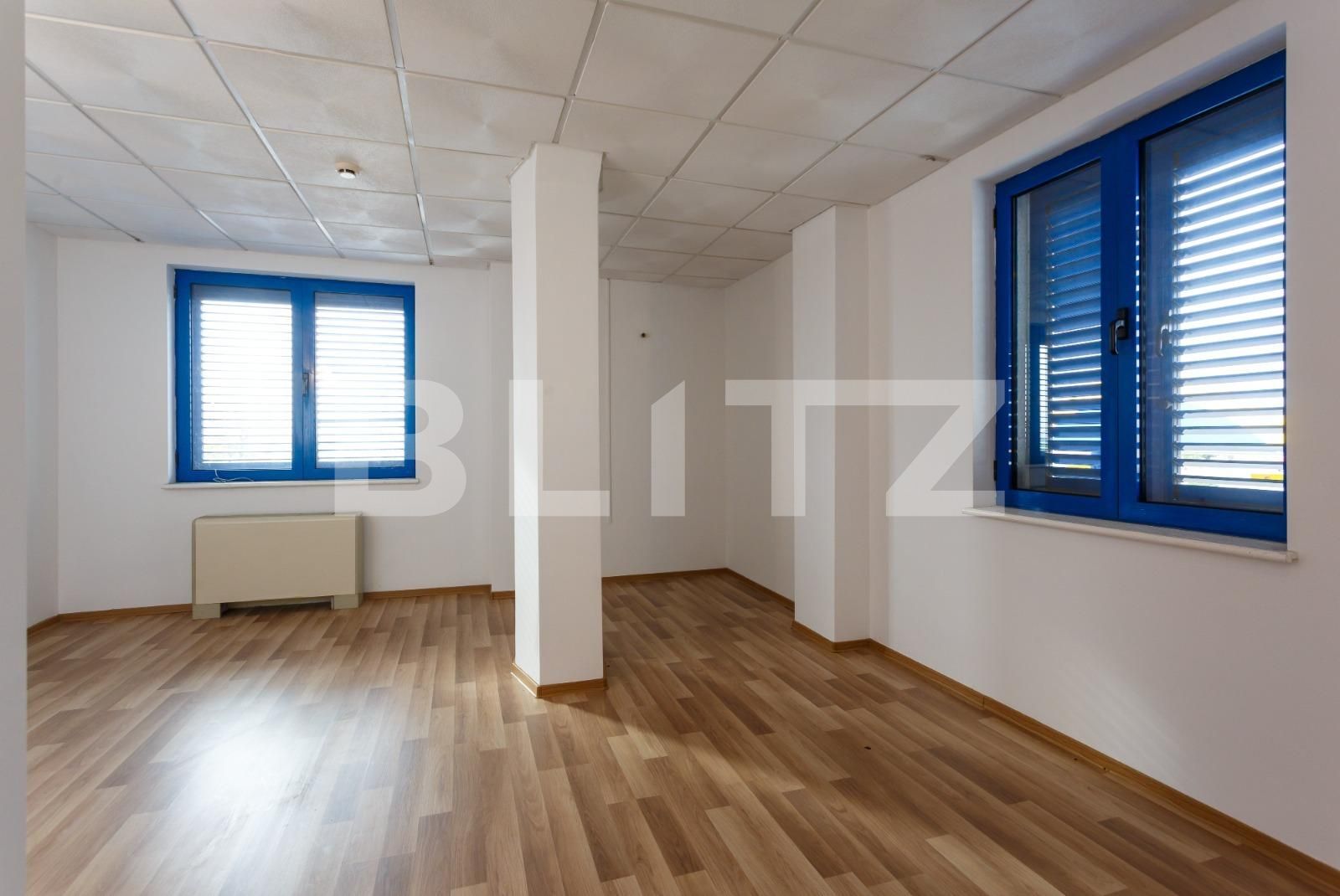 Spațiu comercial de vânzare Aradului - 115670SVC | BLITZ Timișoara | Poza10