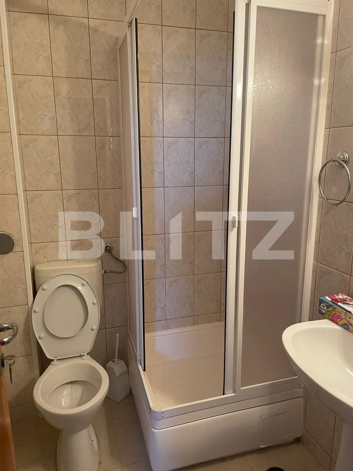 Spațiu comercial de vânzare Aradului - 115670SVC | BLITZ Timișoara | Poza16
